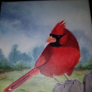 Meet your Posher, Robin